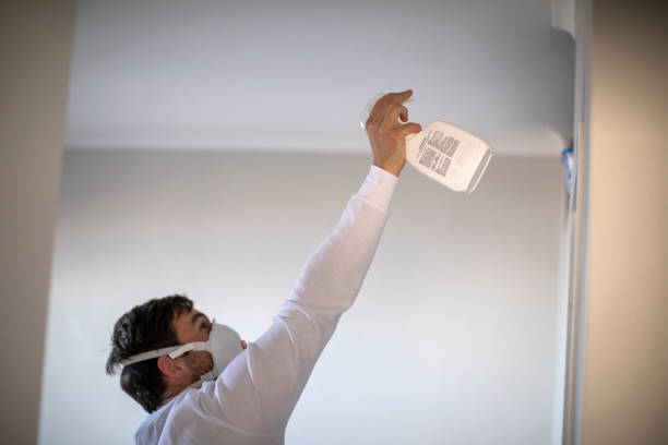 Best Commercial Mold Removal  in Lone Star, TX