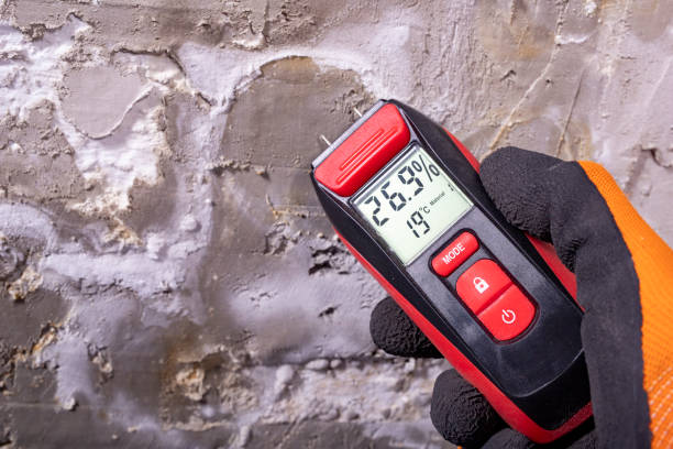 Best Professional Mold Removal  in Lone Star, TX