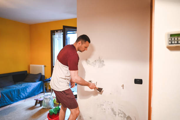 Best Same-Day Mold Removal  in Lone Star, TX